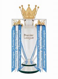 Image result for epl trophy