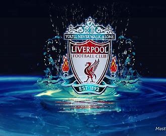 Image result for Cool Liverpool Badge